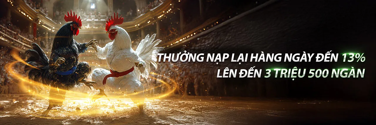 Sân vận động với ánh sáng rực rỡ và giao diện cá cược NA99